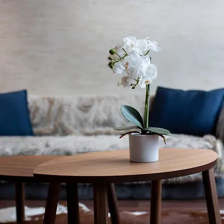 Apartamento Luxy Design